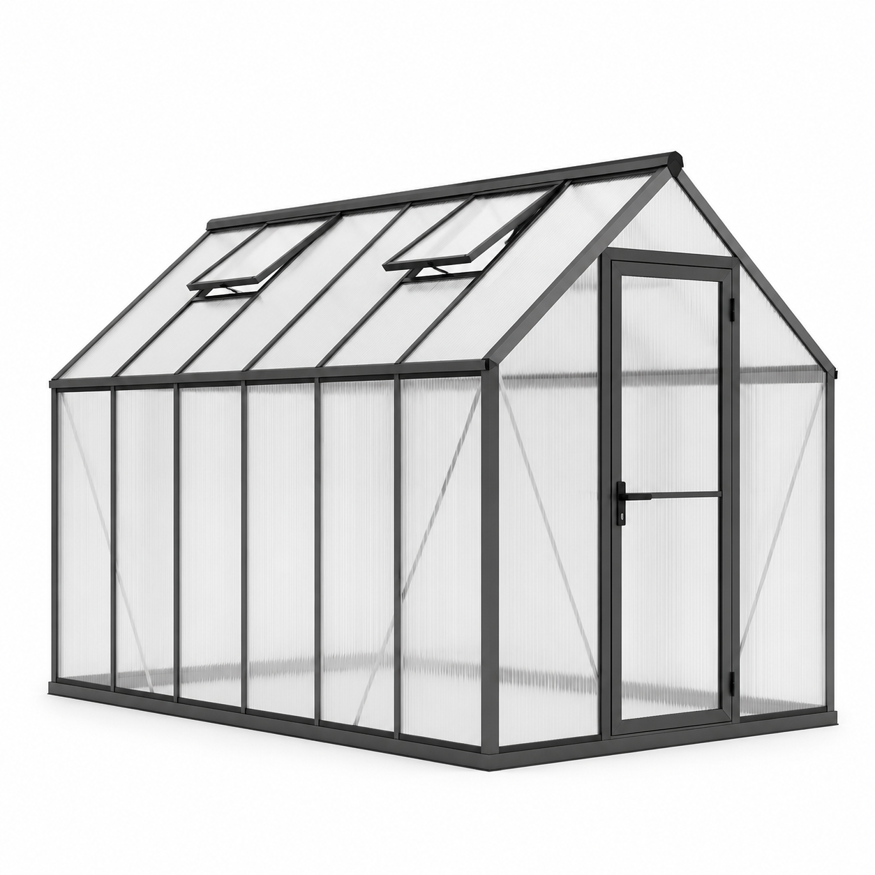 Serre en polycarbonate avec cadre en aluminium, 250 x 190 x 195 cm