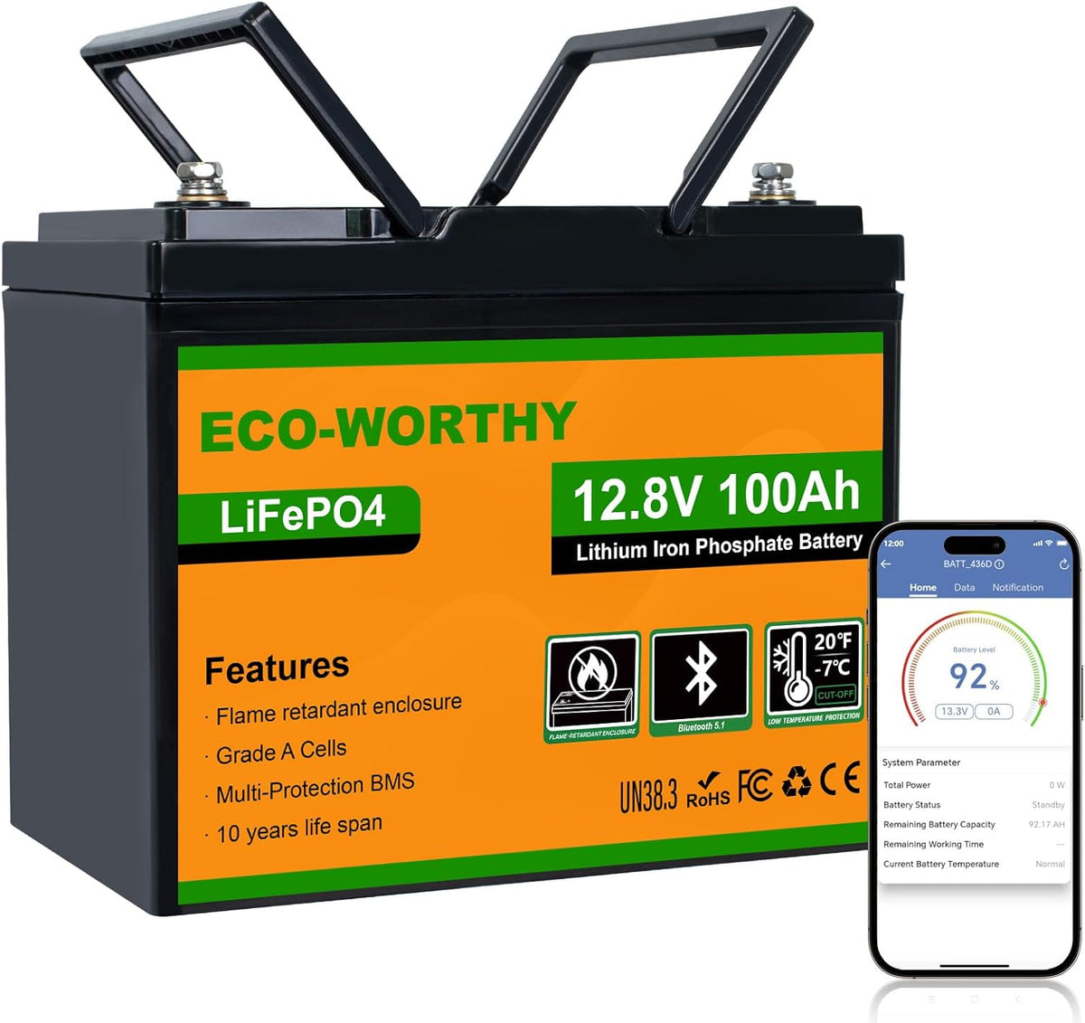 Batterie à décharge profonde, 260 × 168 × 214 mm, Bluetooth Batterie Lithium 12V 100AH Basse Température, ECO-WORTHY, 100 Ah, 12 V, 0 °C