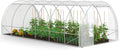 Serre tunnel, 180 cm, IDMarket, 125 cm, 6 × 3M, 6 × 3 × 2m