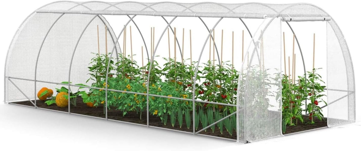 Serre tunnel, 180 cm, IDMarket, 125 cm, 6 × 3M, 6 × 3 × 2m