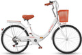 Vélo, 24 Pouces, pliable, 22 pouces, 152 cm, 165 cm, 95 cm, 100 cm, 78 cm, 82 cm, 60 cm, 54 cm, 58 cm, 40 mm, Vitesse Variable, 24in