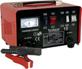 Toolland a land of possibilities Chargeur de batterie, 24 V, 25 Ah, 135 Ah, 30 × 21 × 18.5cm, 24V, 12V, Toolland AC15, 12/24V, Rouge